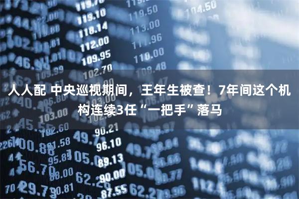 人人配 中央巡视期间，王年生被查！7年间这个机构连续3任“一把手”落马
