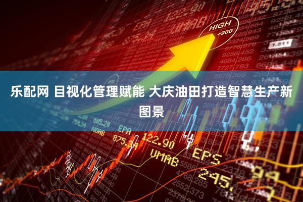 乐配网 目视化管理赋能 大庆油田打造智慧生产新图景