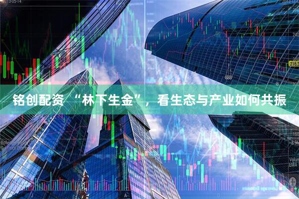 铭创配资  “林下生金”，看生态与产业如何共振